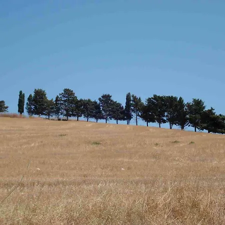 Acqua Di Menta Buseto Palizzolo