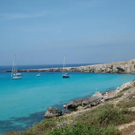 Acqua Di Menta *